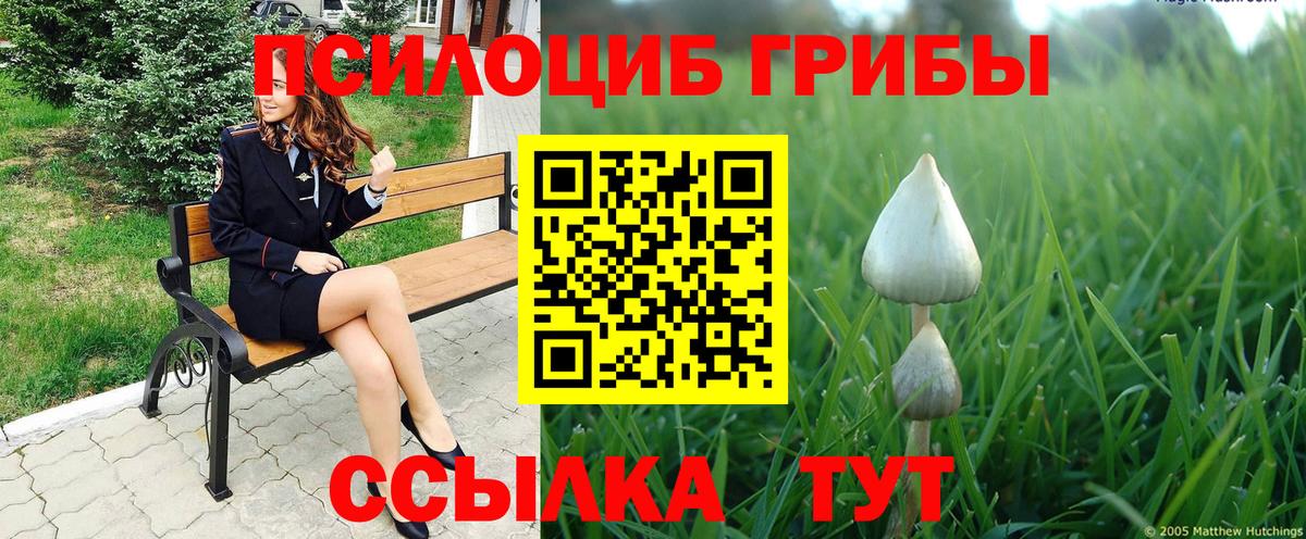 купить закладку  Галлюциногенные грибы прущие грибы  Ангарск  Вход с VPN  Галлюциногенные грибы GOLDEN TEACHER 